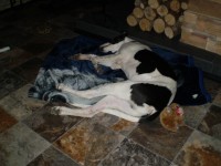 /album/fotogalerie/p4010002-jpg/