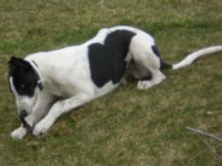 /album/fotogalerie/p4060021-jpg/